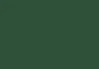Classic Green (Chi)