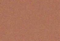 Copper Penny